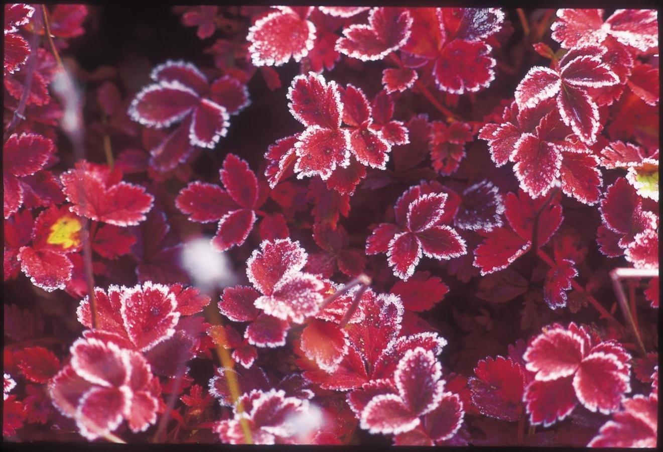 La Vista Daisetsuzan Higashikawa Exterior foto